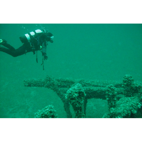 June 14th 2022 - Humber Bay Evening Dive